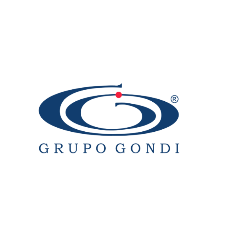 Grupo-Gondi